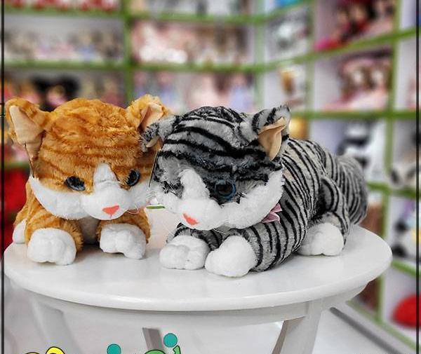 عکس گربه تک شاخ واقعی