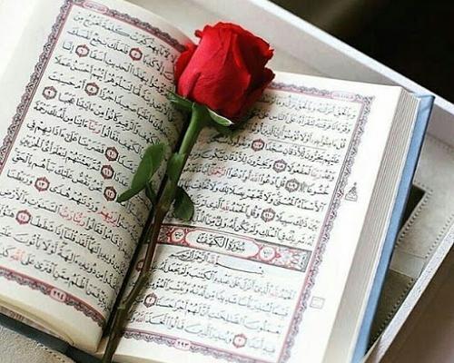 عکس صفحه ۲۱۲ قرآن کریم