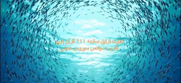 عکس صفحه ۲۱۲ قرآن کریم