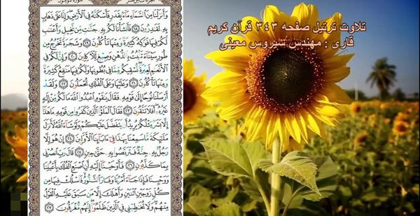 عکس صفحه ۳۴۹ قرآن کریم