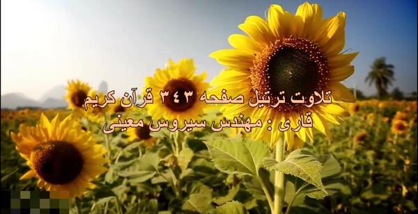 عکس صفحه ۳۴۹ قرآن کریم