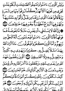 عکس صفحه ۵ قران کریم
