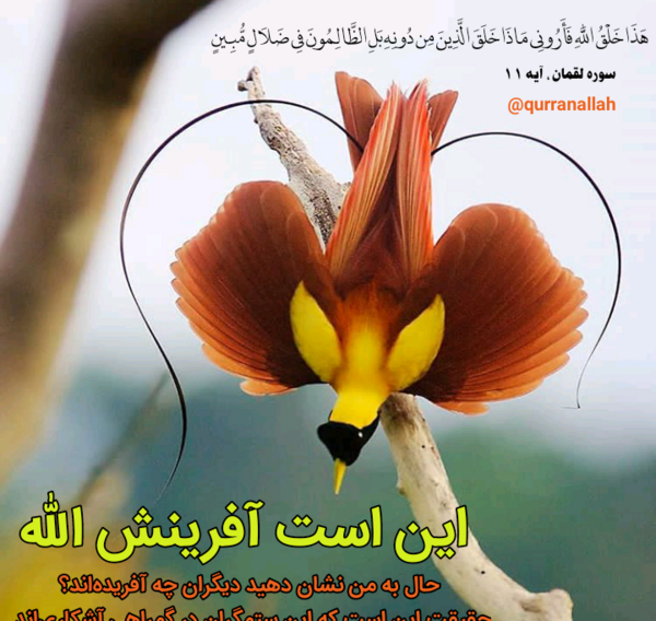 عکس تصاویر زیبا از قرآن کریم