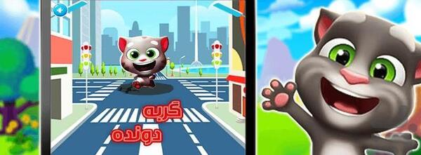 عکس گربه بازی جدید