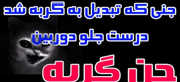 عکس گربه سیاه جنی