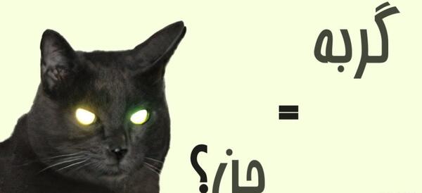 عکس گربه سیاه جنی