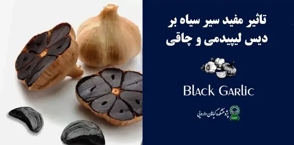عکس گربه چکمه پوش چاق