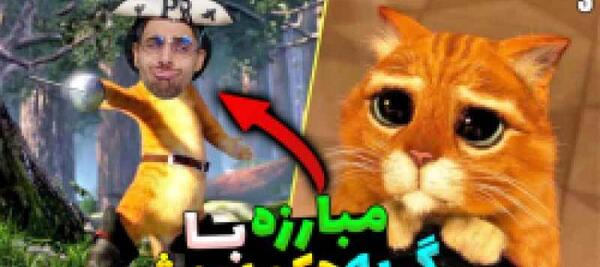 عکس گربه چکمه پوش و کیتی