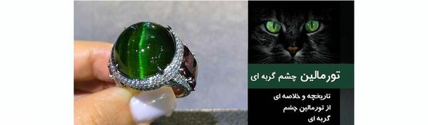عکس گربه سیاه چشم سبز