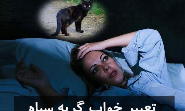 عکس گربه سیاه چشم سبز