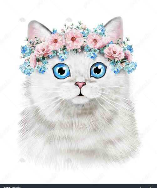 عکس گربه و حیوانات