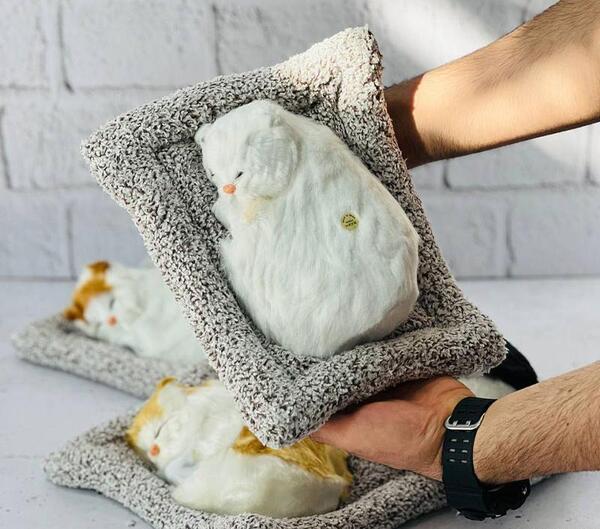عکس عروسک گربه خوابیده
