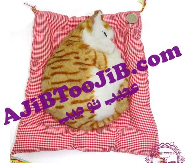 عکس عروسک گربه خوابیده
