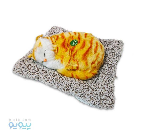 عکس گربه ی خوابیده