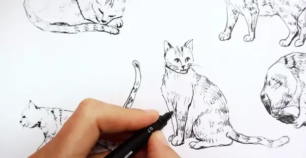 عکس نقاشی گربه خوابیده