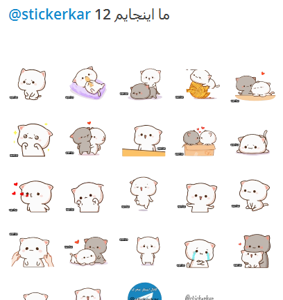 عکس گربه دونفره عاشقانه