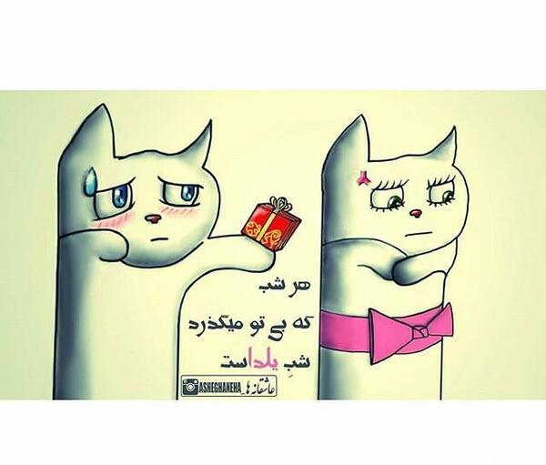 عکس گربه دونفره عاشقانه