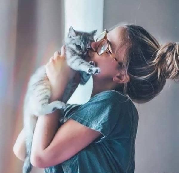 عکس گربه گوگولی دونفره