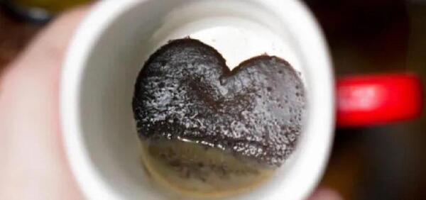 عکس گربه تو فال قهوه