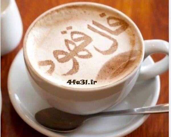 عکس گربه تو فال قهوه