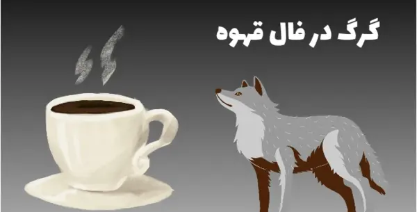 عکس گربه تو فال قهوه