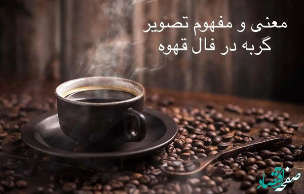 عکس گربه تو فال قهوه