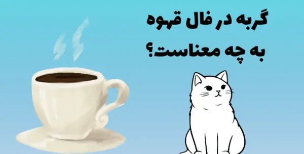 عکس گربه تو فال قهوه