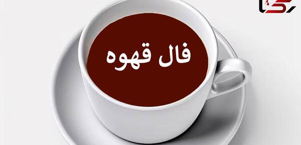 عکس گربه تو فال قهوه