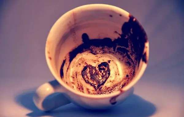 عکس گربه تو فال قهوه