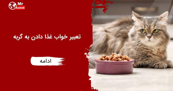 عکس گربه تو فال قهوه