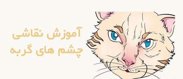 عکس نقاشی گربه در شب