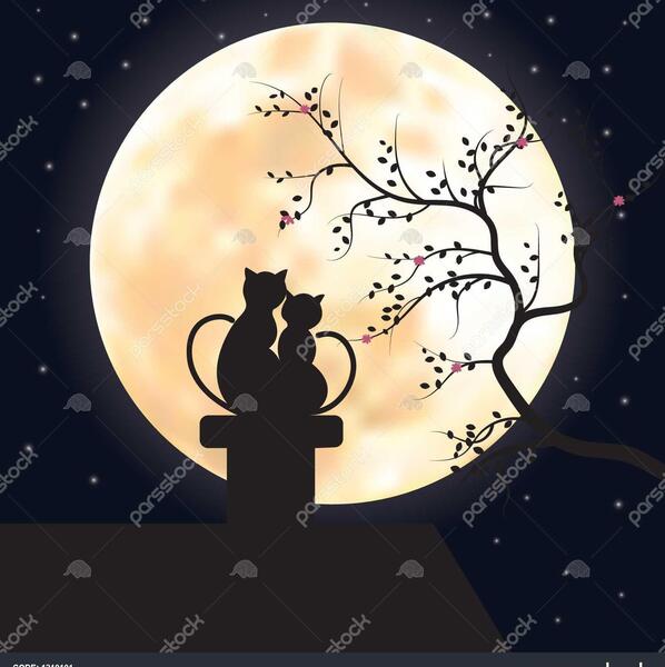 عکس نقاشی گربه در شب