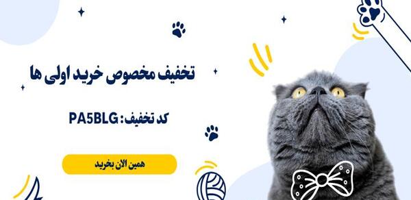 عکس گربه شب