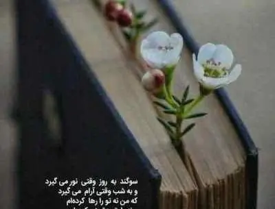 عکس اصلی لیلی مجنون