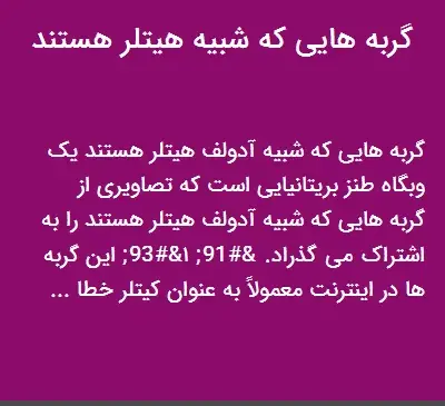 عکس گربه شبیه هیتلر