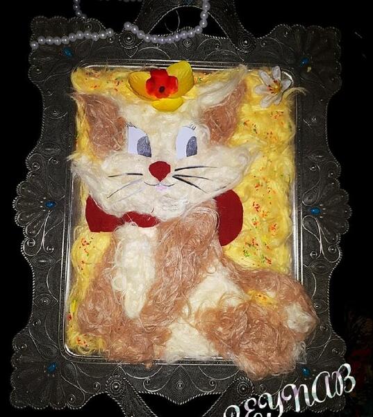 عکس گربه شب یلدا
