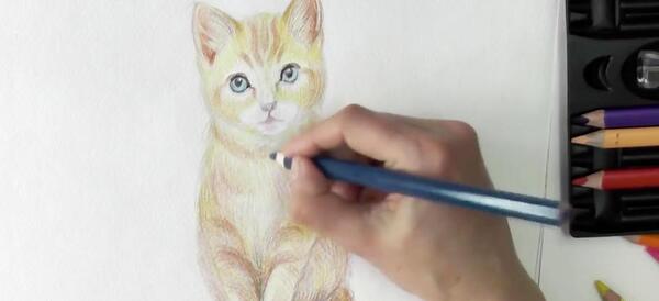 عکس نقاشی گربه رنگی