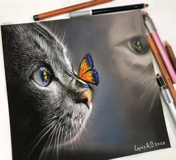 عکس نقاشی گربه رنگی