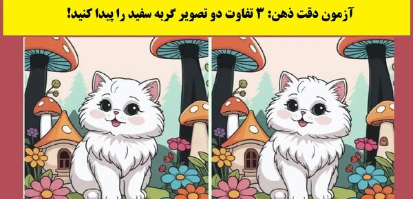 گربه را در عکس پیدا کنید