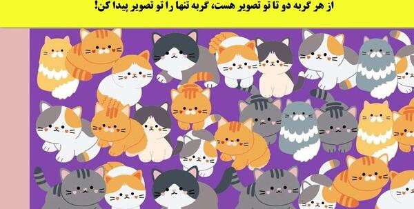 گربه را در عکس پیدا کنید