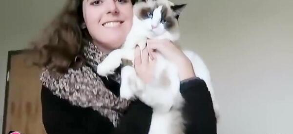 عکس گربه ی رگدال