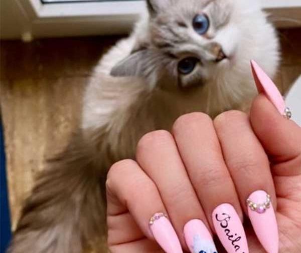 عکس پنجه گربه روی ناخن