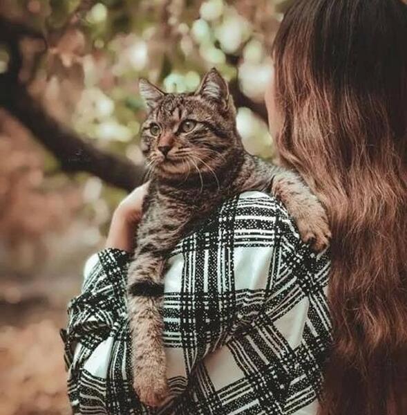 ژست عکس با گربه