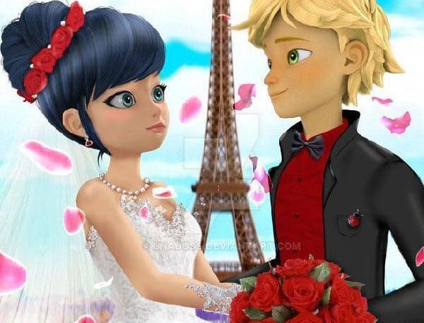 عکس گربه سیاه واقعیش
