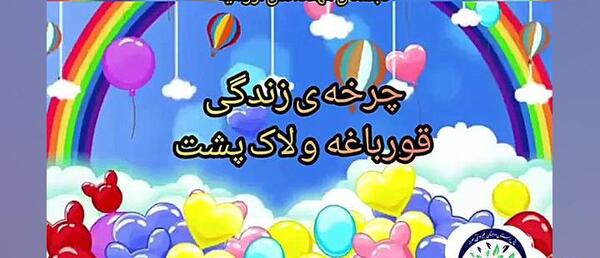عکس لاک پشت قورباغه