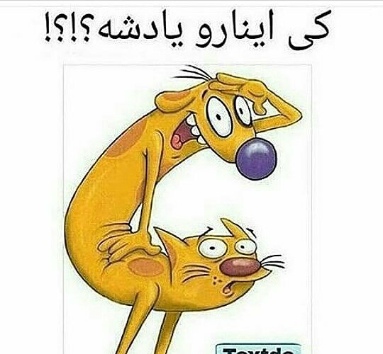 عکس گربه سگ اثر پیتر هانان