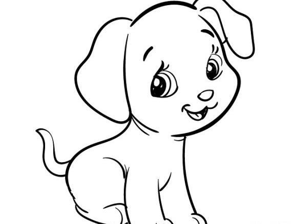 عکس گربه سگ نقاشی