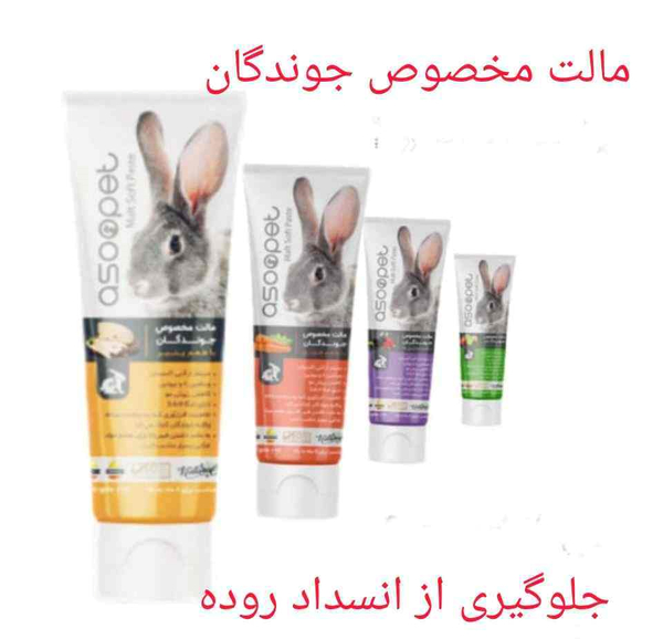عکس گربه سگ خرگوش