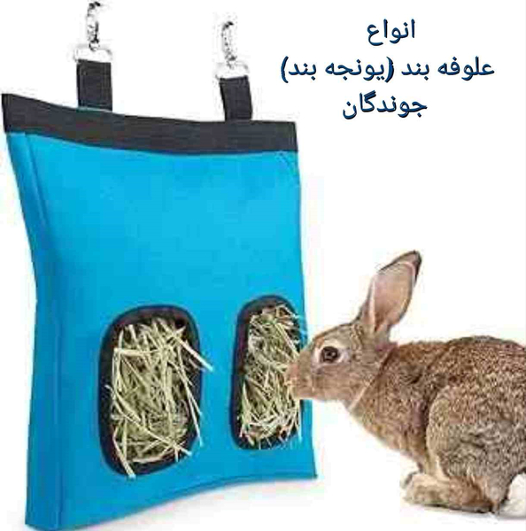 عکس گربه سگ خرگوش