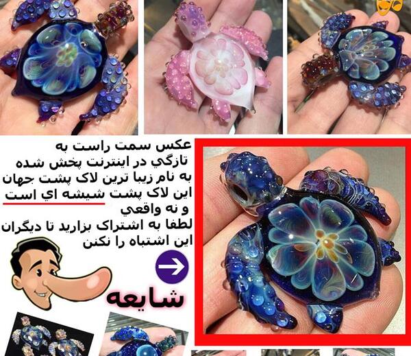 عکس زشت ترین لاک پشت جهان
